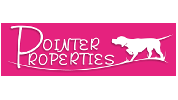 Pointer Logo
